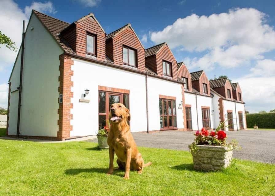 White Rose Country Cottages Thormanby Exteriér fotografie